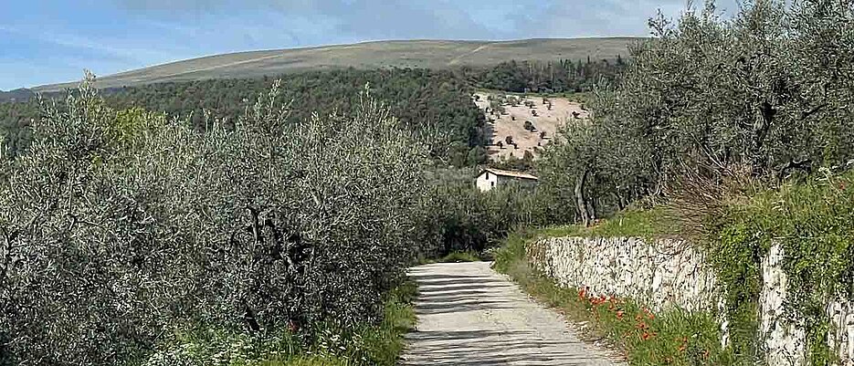 Foto eines Wegs in der italienischen Landschaft
